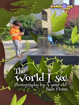 cover image of The World I See